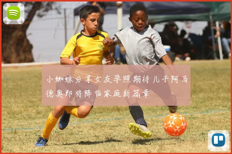 小蜘蛛分享女友孕照期待儿子阿马德奥即将降临家庭新篇章