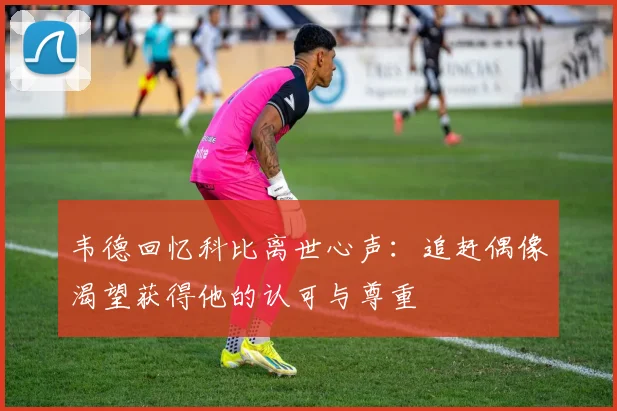 韦德回忆科比离世心声：追赶偶像渴望获得他的认可与尊重